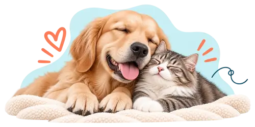 Emotional support animal