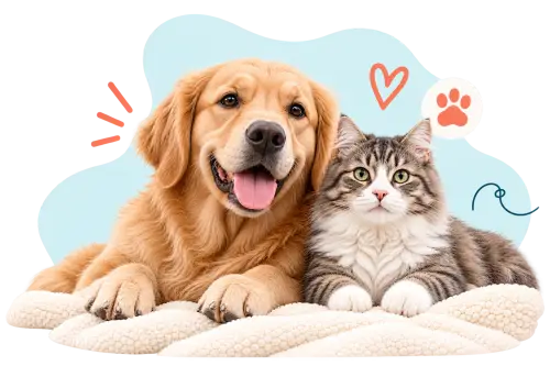Dog and cat relaxing together