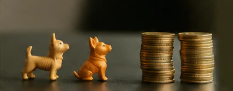 Data Reveals True Cost of Pet Inclusive Housing and How ESAs Can Help